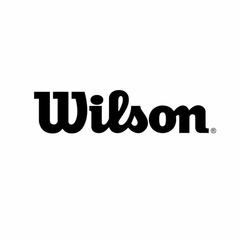 Wilson Golfballen